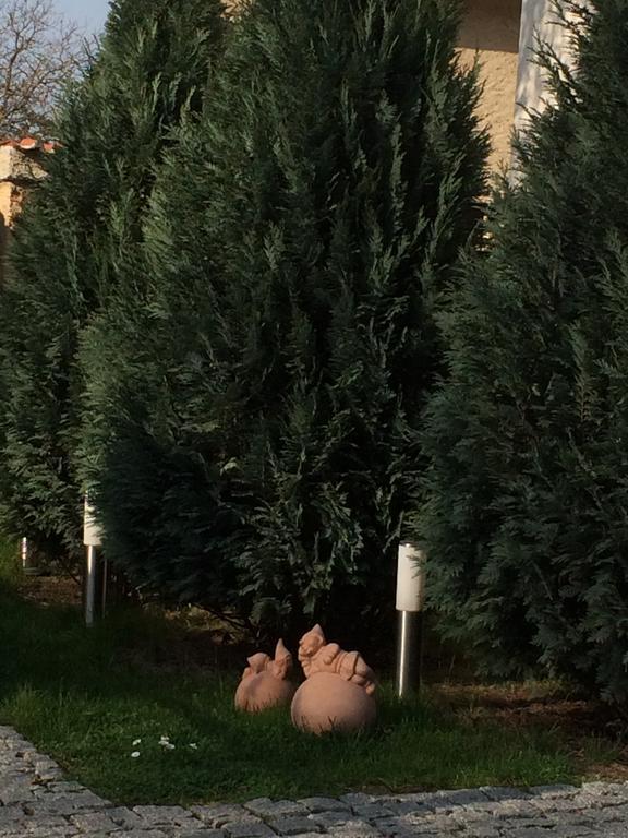 Penzion Speller Vysoký Újezd Εξωτερικό φωτογραφία